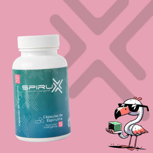 ⭐ COMBO WEB #1 + GORRA GRATIS 🧢