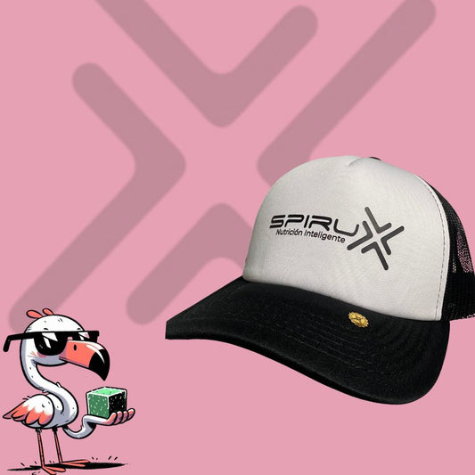 ⭐ COMBO WEB #4 + GORRA GRATIS 🧢